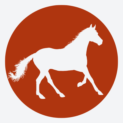 Cabalgatas